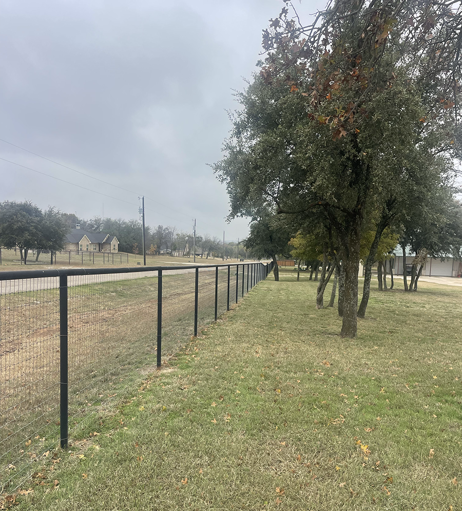 clearing fence line on property